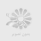 خرید آنلاین در بلک فرایدی و تأثیر آن بر محیط زیست